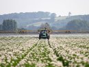 Le glyphosate : le pesticide de la discorde